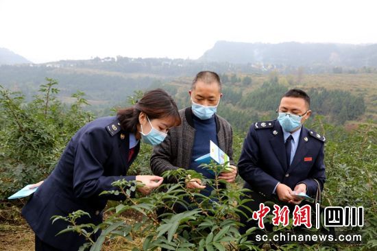 ����(w��)�ɲ��������g���^�˽⻨���a(ch��n)�I(y��)�l(f��)չ��r���Ĵ�����(w��)���D