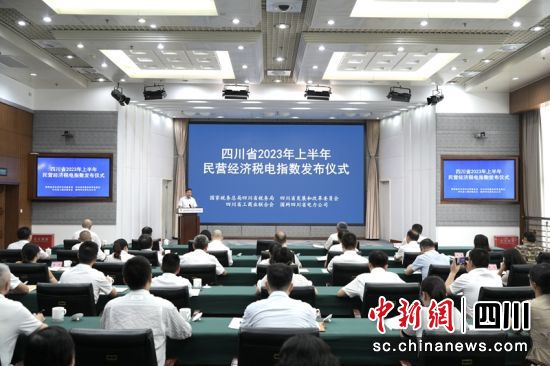 2023年上半年“民營經(jīng)濟(jì)稅電指數(shù)”四川稅務(wù)供圖 2023年上半年“民營經(jīng)濟(jì)稅電指數(shù)”四川稅務(wù)供圖