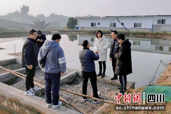 ^W(xu)(x)F(xin)ؕý D