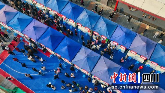 2024ꡰLЄӡͬF(xin)ƸF(xin) z