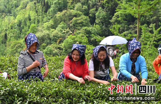 �����ɲ���(d��ng)�F(xi��n)��(ch��ng)��ӛ�߰�Դ �z