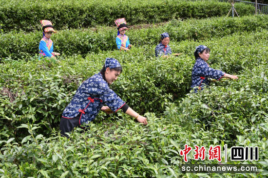 �����ɲ���(d��ng)�F(xi��n)��(ch��ng)��ӛ�߰�Դ �z