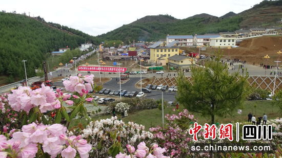 丙乙底索瑪花景區(qū)。邱興春攝 丙乙底索瑪花景區(qū)。邱興春攝
