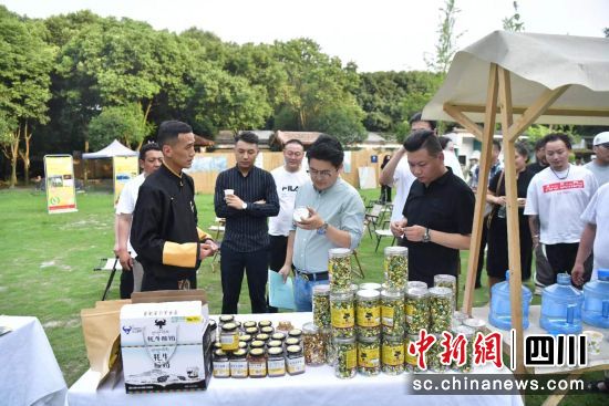 �ƽ���F(xi��n)����(���� �z)