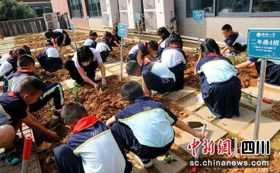 �������ӂ��ڡ����Ų��á�����ܸ��N������Ϳ옷������Դ �z