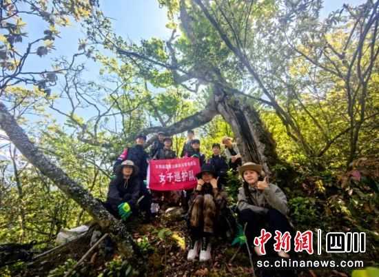 Ů��Ѳ�o����봨�hί���������D