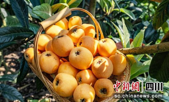 ʯ�����������f�� �z