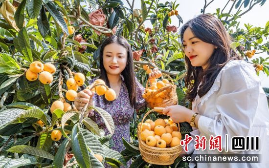 ��ժ���ˡ����f�� �z