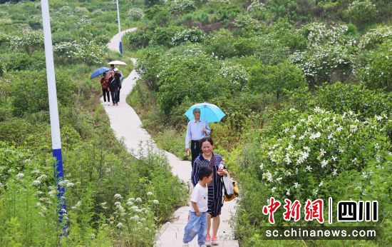 �ο����p�d�ӻ��������� ���D