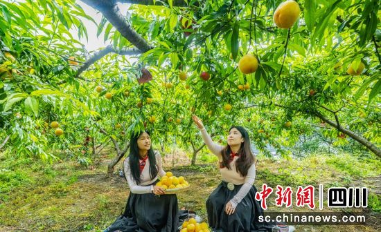 ��ժ�S�ҡ����f�� �z