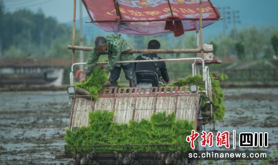 �Cе����������Խ ���D