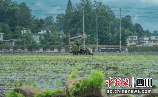 �����F(xi��n)������Խ ���D