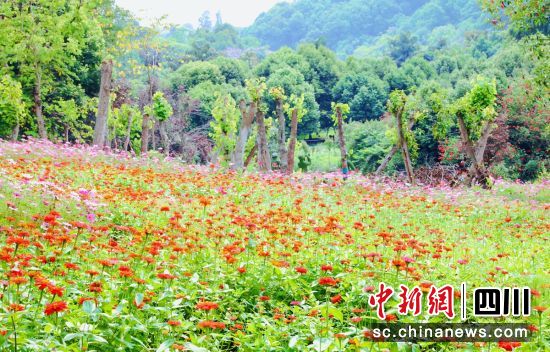 ���վվ`����ؕ����ý ���D