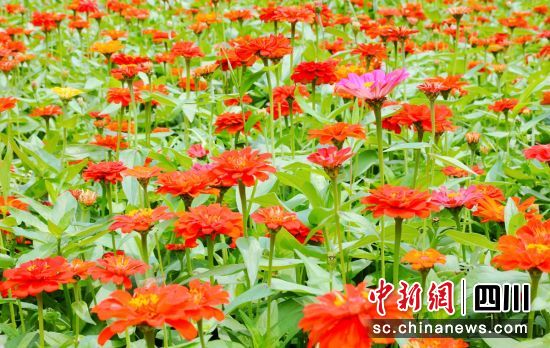 ���վվ`����ؕ����ý ���D