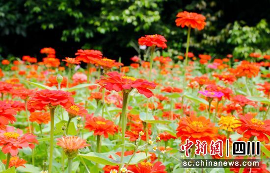 ���վվ`����ؕ����ý ���D