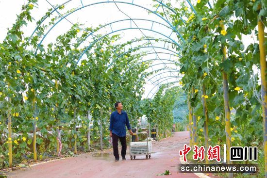 �L���Ͻz�ϝM�١�ؕ����ý ���D