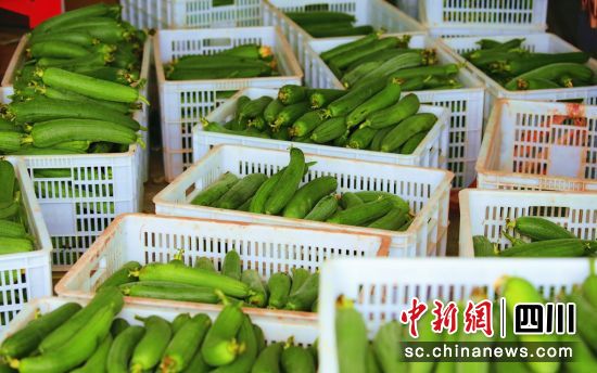  �z���S�ա�ؕ����ý ���D