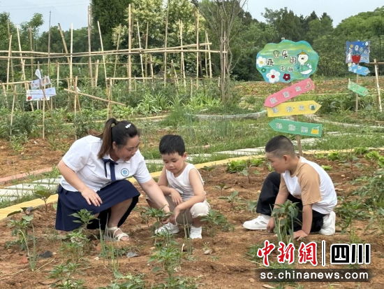  �׃��@�ώ���С�����J�R�߲��� �����h��ý�w���Ĺ��D