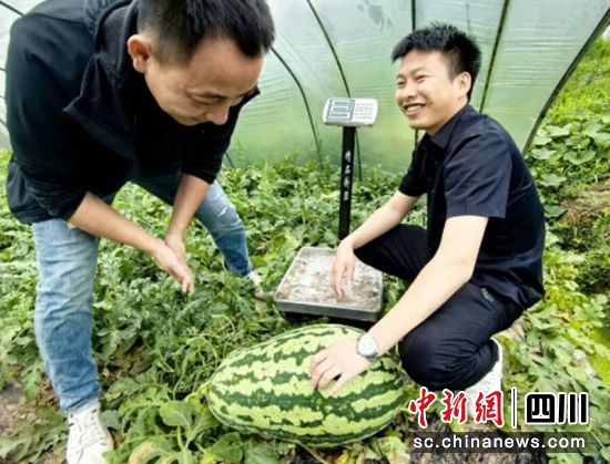 ���ź����ϡ��ι�������(chu��ng)�¸ߡ��؞���ý ���D