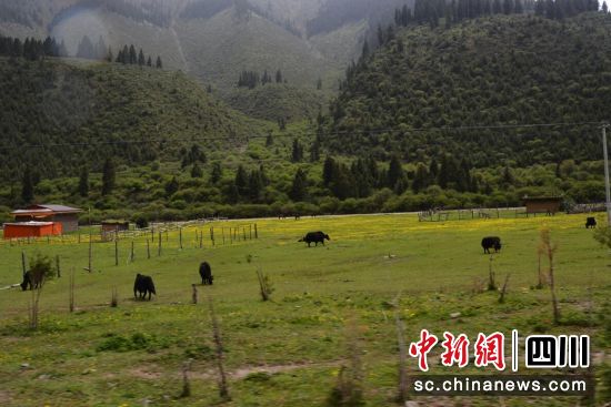 �����ĳ��l(xi��ng)�h(hu��n)���|(zh��)���@�������������hί���������D