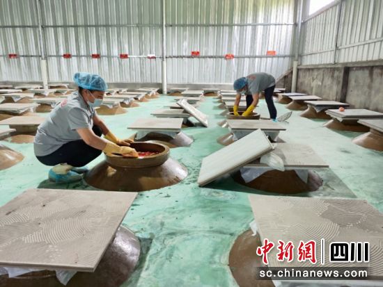 ���(zh��n)������^(q��)���ݲˏS���˙z���ݲˡ��С�� �z