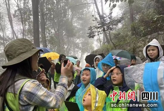 ӬF(xin)shý D