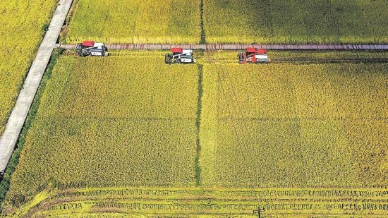 ▲智慧農(nóng)業(yè)和農(nóng)機已貫穿作物生長到收獲的全過程。 ▲智慧農(nóng)業(yè)和農(nóng)機已貫穿作物生長到收獲的全過程。