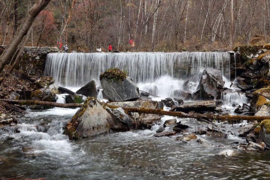 ��ɽ�g���١� ë��܊/�z