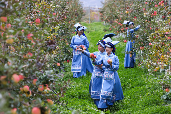 ��Ǽ������ժ�O(p��ng)���� ����/�z 