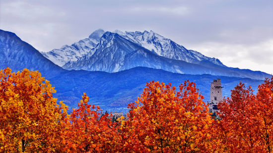 ����Ǽ�ǵ���� ꐳ�/�z