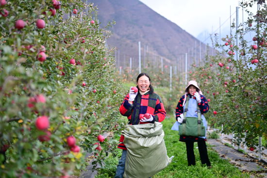 ���tͮͮ���O����M֦�^�� ����/�z 