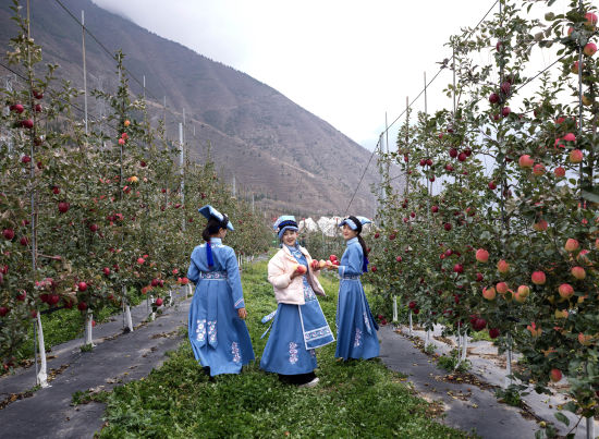 ������O���@�� �m�t��/�z