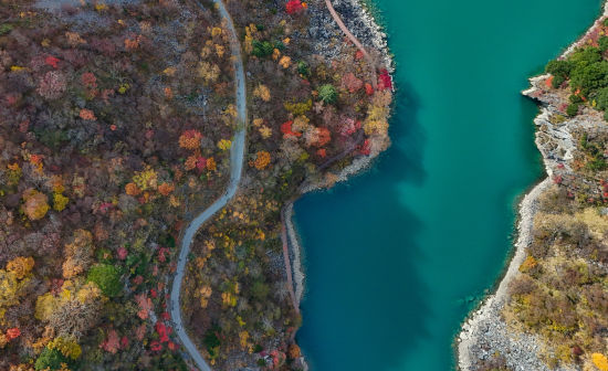 ��ɽ�c���ӡ� �f(w��n)�y/�z