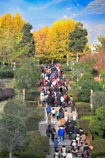 ��ï�h��Ǽ���еĽ��H��顷 �_��/�z