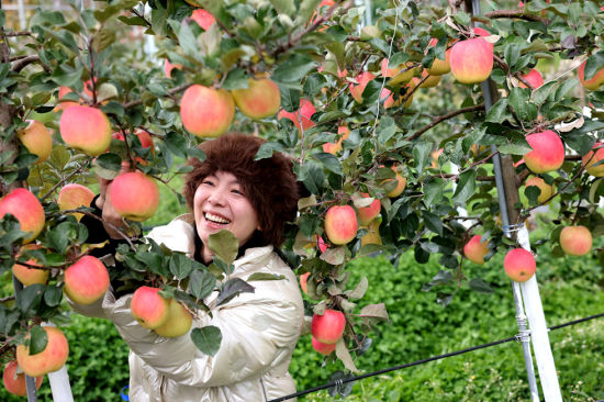 ����ժ��(l��)�� Ҧ����/�z