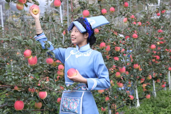 ���ο�ժ���� �~��/�z