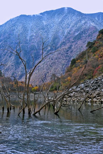 ��ī���� ���M/�z