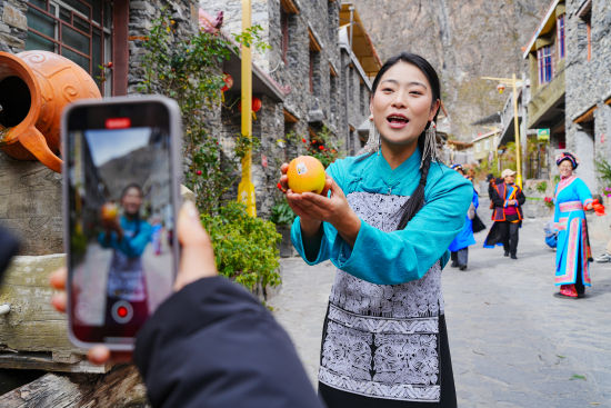 《茂汶蘋果展示》 秦廷富/攝 《茂汶蘋果展示》 秦廷富/攝