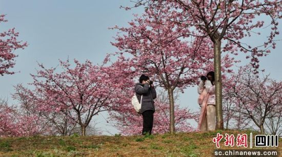 �ѻ���ʢ���ɶ����½�^(q��)ί���������D