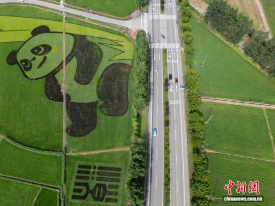 2025��6��25�������Ĵ��ɶ��������츮�Z�}���ҬF(xi��n)���r(n��ng)�I(y��)�a(ch��n)�I(y��)�@��һ�����ʹ���؈�D���Ƕ���f���������g��(�o�˙C(j��)��Ƭ) ӛ�� ���� �z